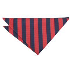 Navy Blue & Red Classic Stripe Tie