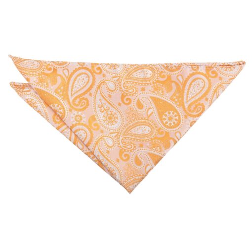 Apricot Paisley Bohemian Pocket Square