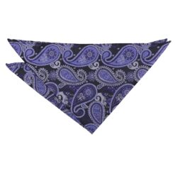 Black & Purple Paisley Bohemian Tie