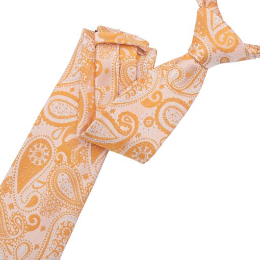 Apricot Paisley Bohemian Modern Classic Tie