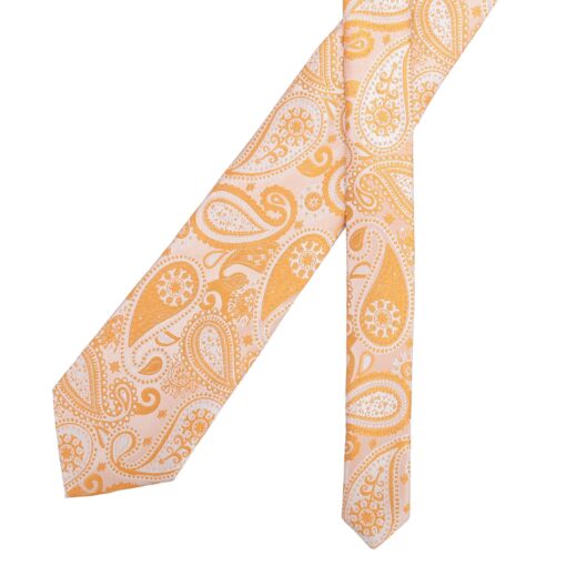 Apricot Paisley Bohemian Modern Classic Tie