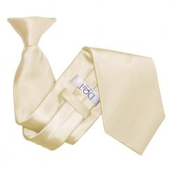 Champagne Satin Clip On Tie