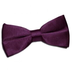 Plum Satin Self Tie Bow Tie