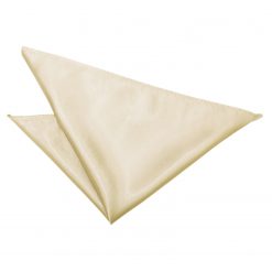 Champagne Satin Pocket Square