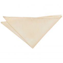 Beige Shantung Slim Tie