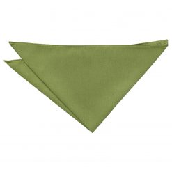 Olive Green Shantung Slim Tie