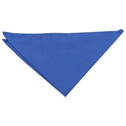 Royal Blue Shantung Slim Tie