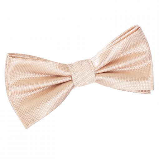 Champagne Solid Check Pre-Tied Thistle Bow Tie