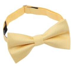 Daffodil Yellow Plain Twill Pre-Tied Bow Tie