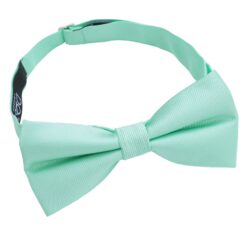 Mint Green Plain Twill Pre-Tied Bow Tie