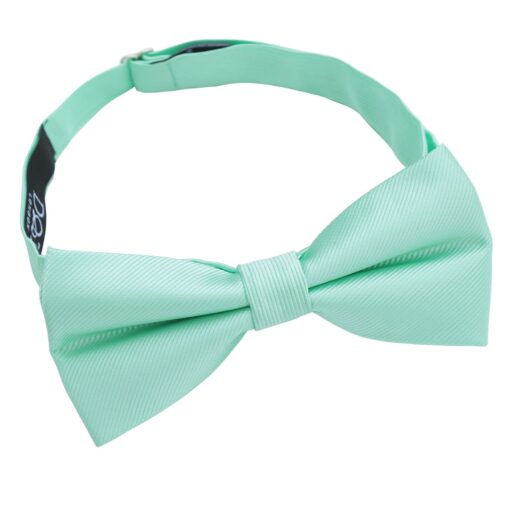 Mint Green Plain Twill Pre-Tied Thistle Bow Tie