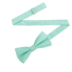 Mint Green Plain Twill Pre-Tied Bow Tie